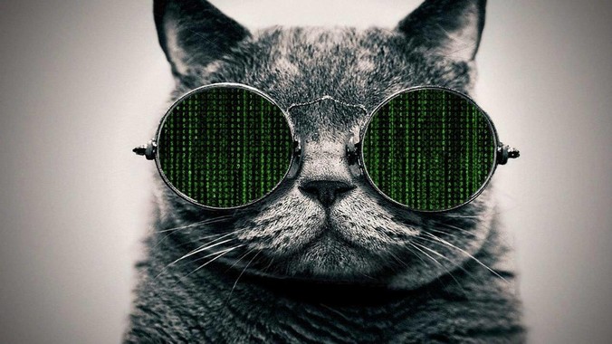 Go 语言几乎打了所有 Programming Language 学者的脸,然而它却成功了,为什么?